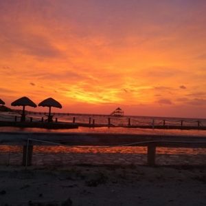 Meet your Posher, Maritza